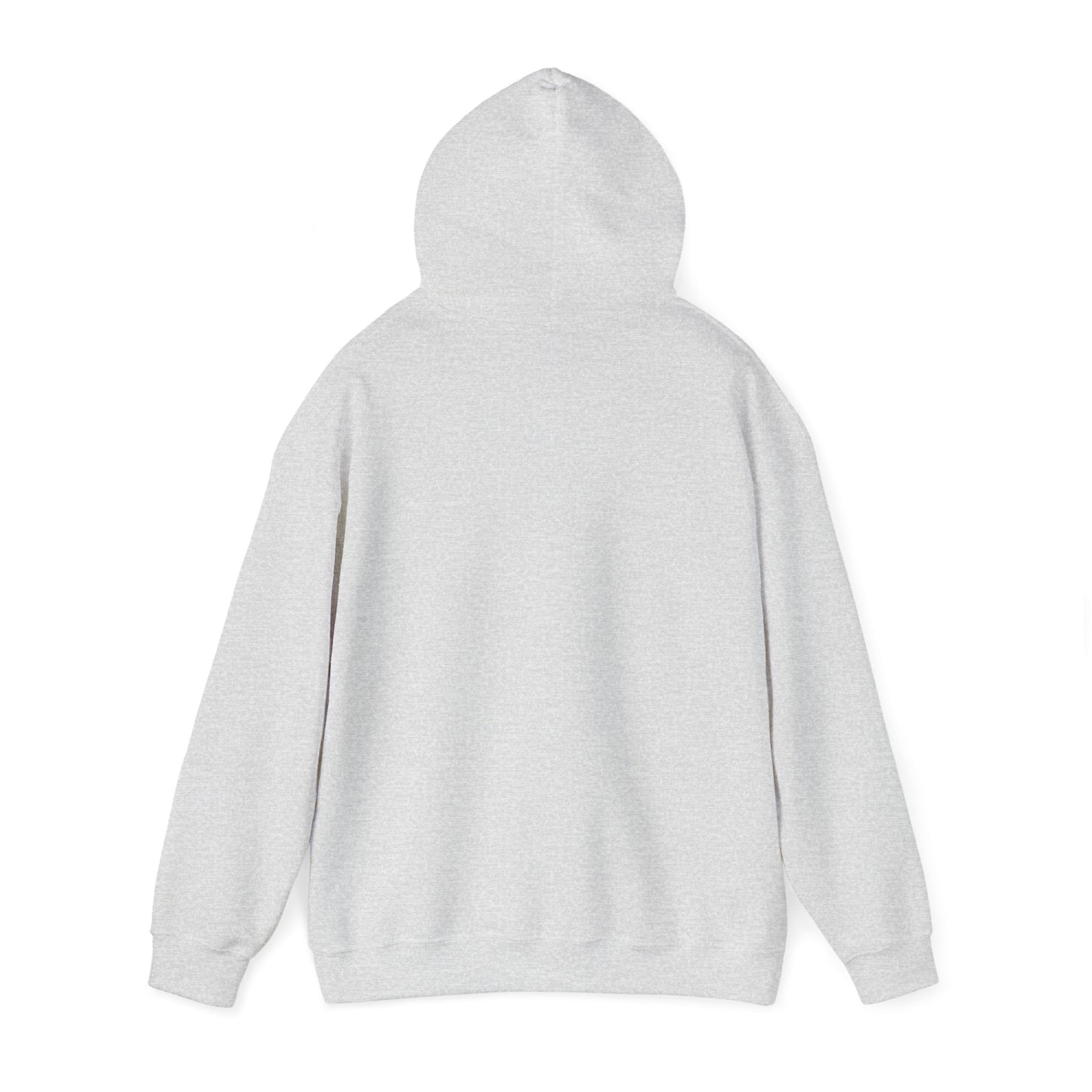 Activity Bears Hoodie